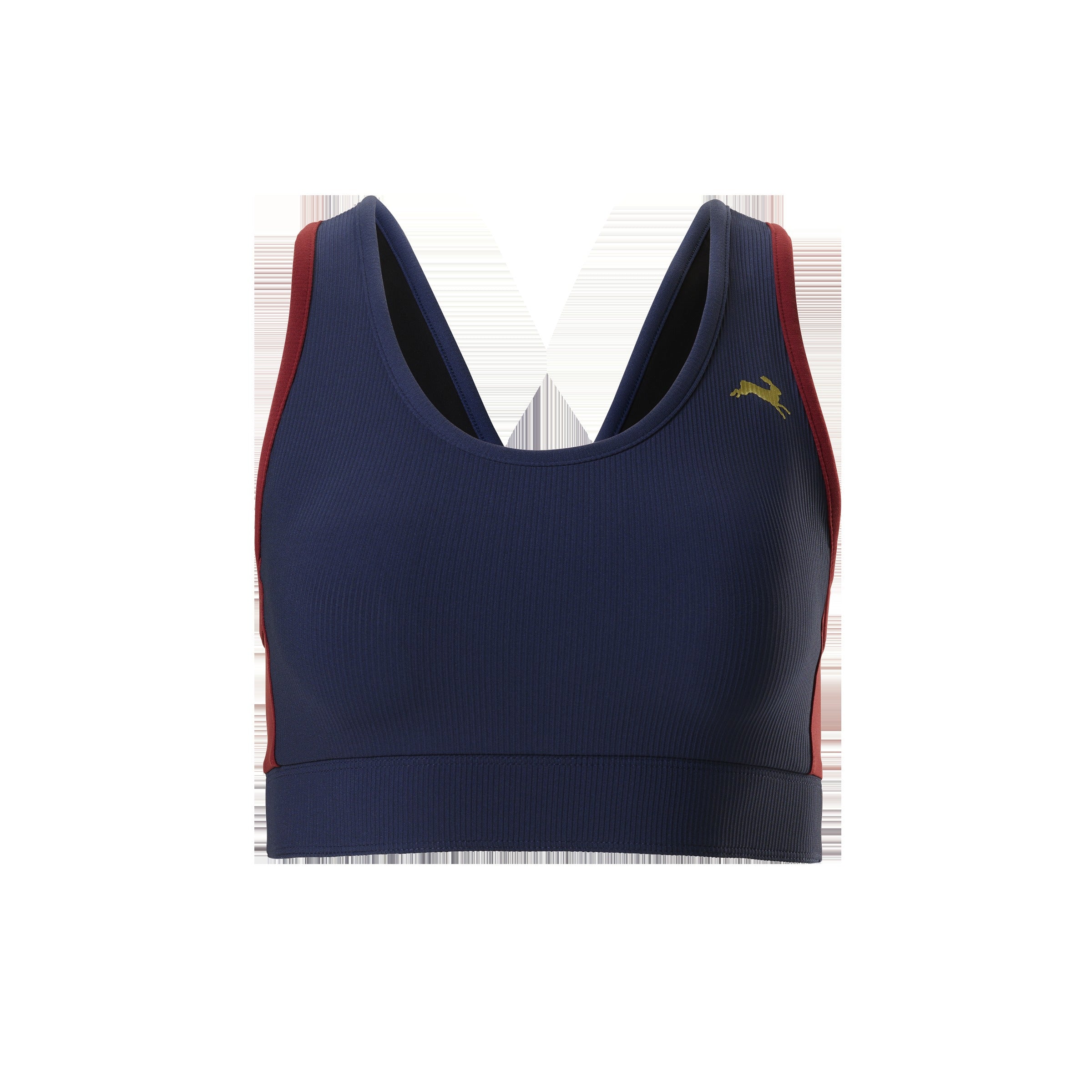 Twilight Bra Top