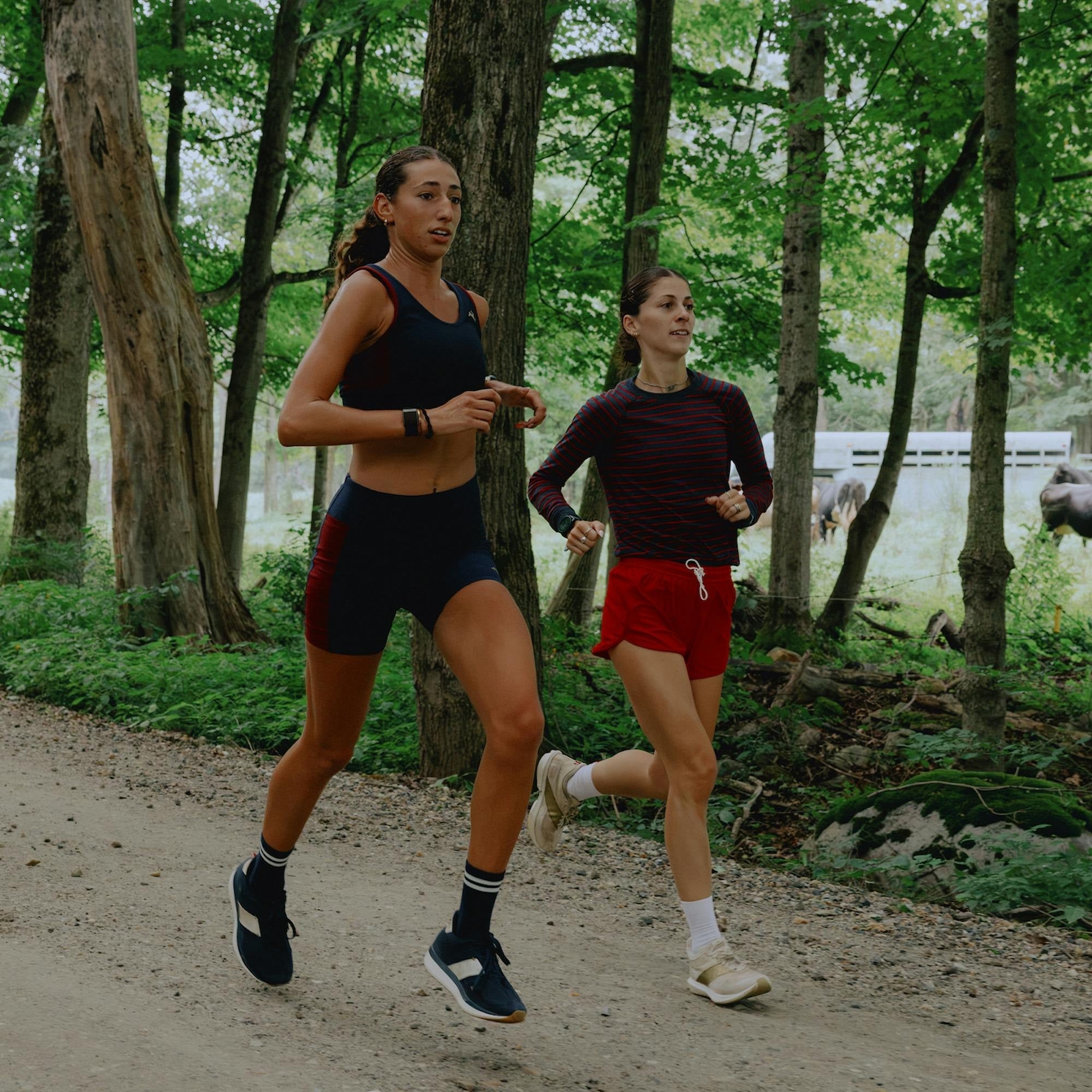 Twilight Shorts