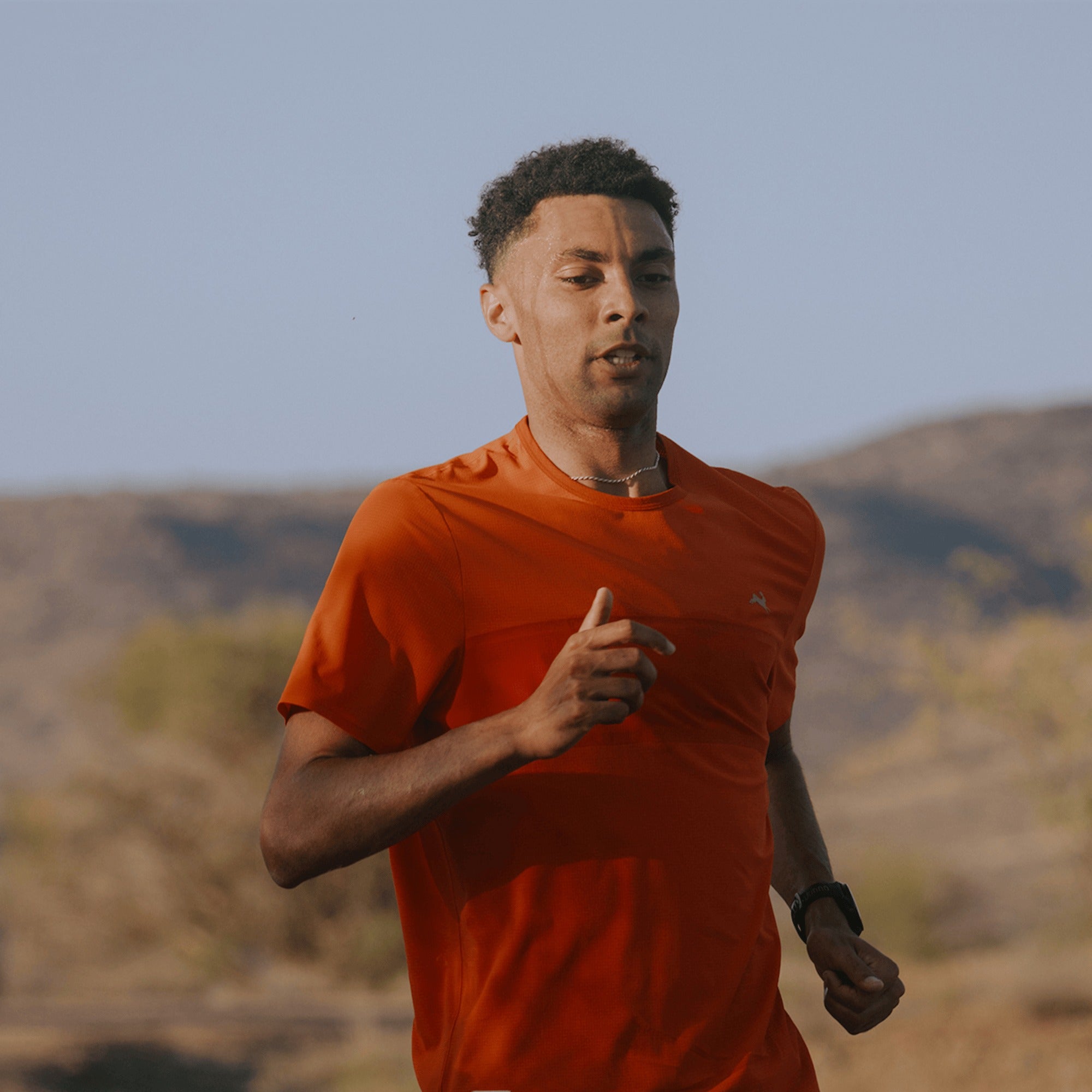 Meridian Shorts