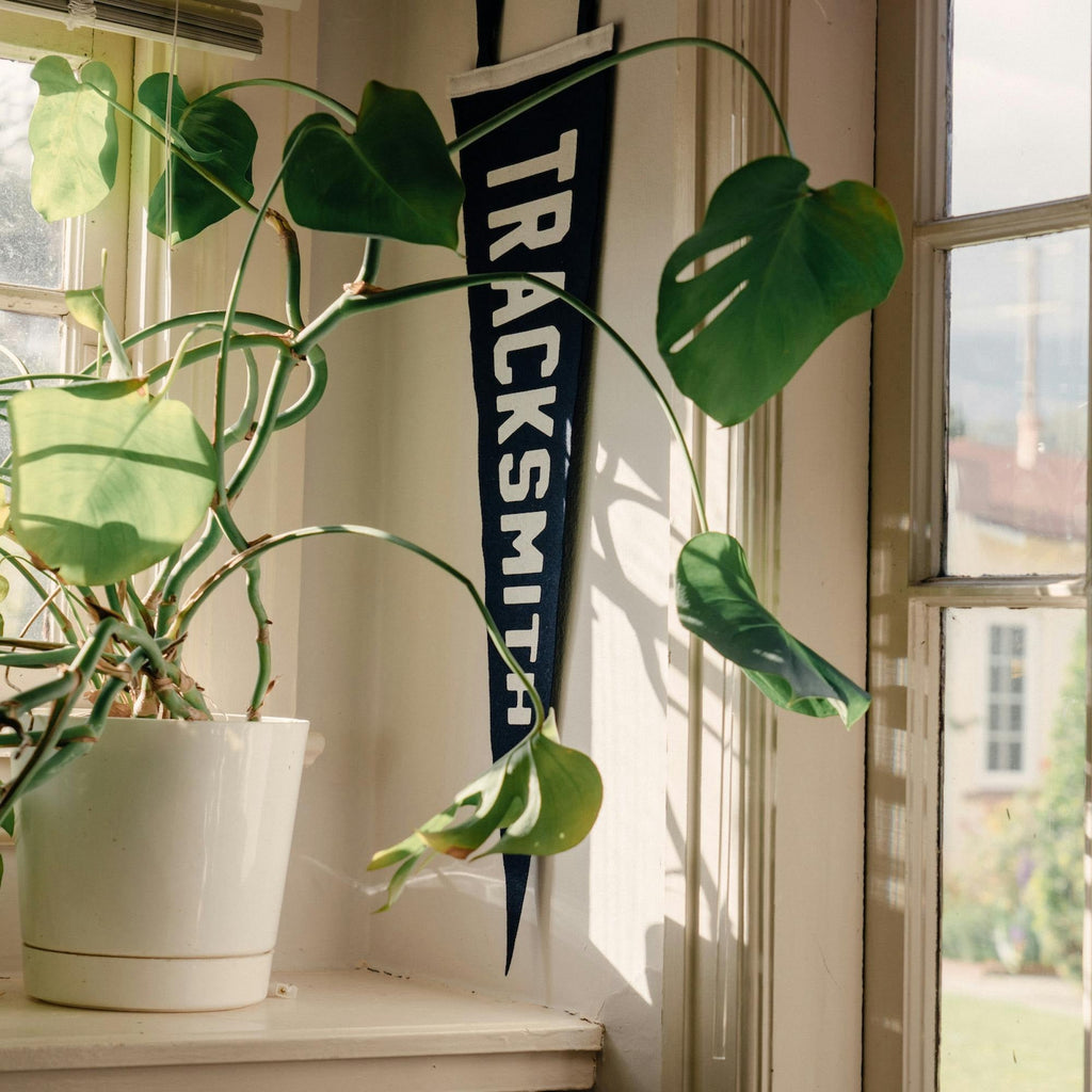Pennants
