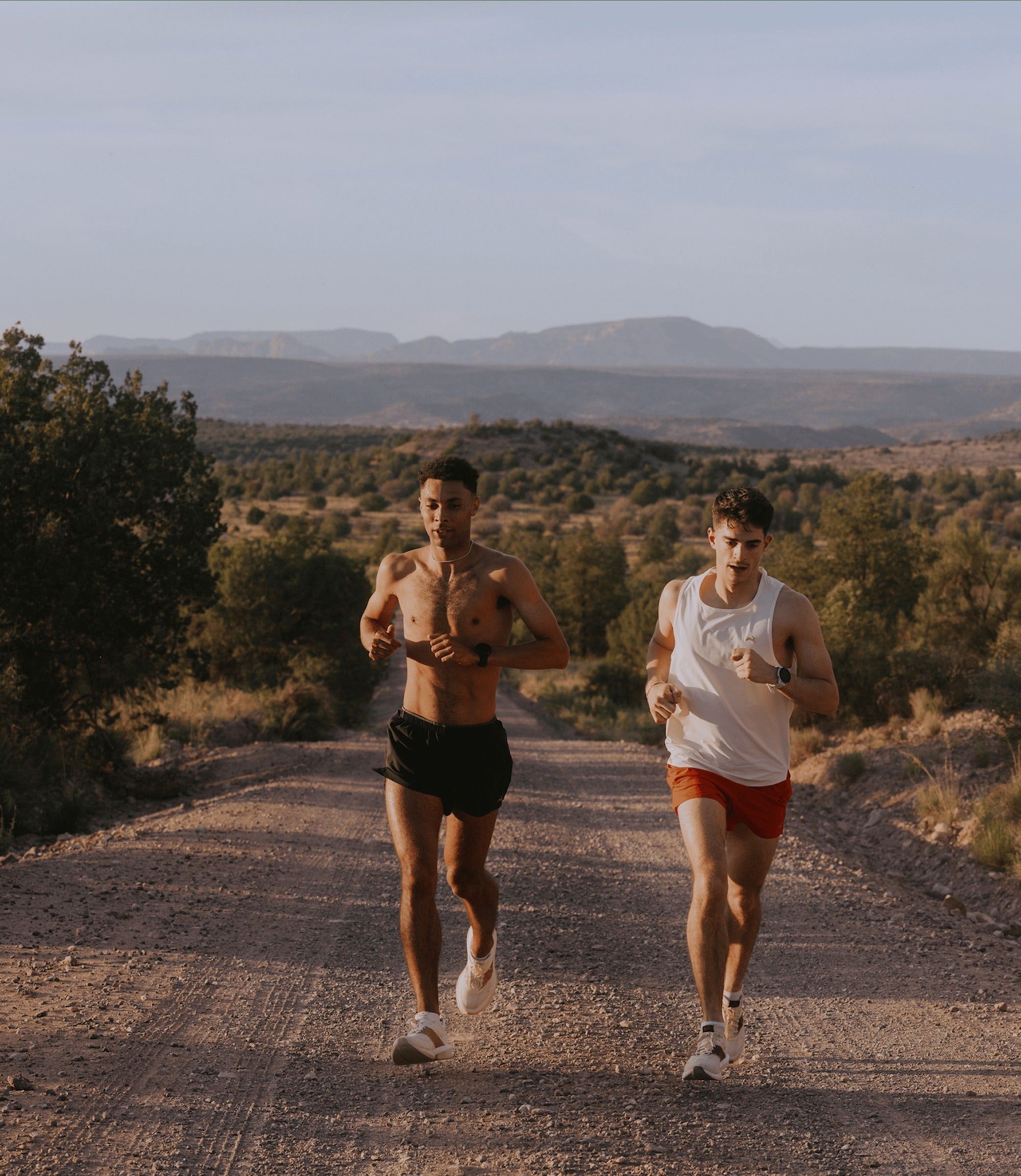 Meridian Shorts