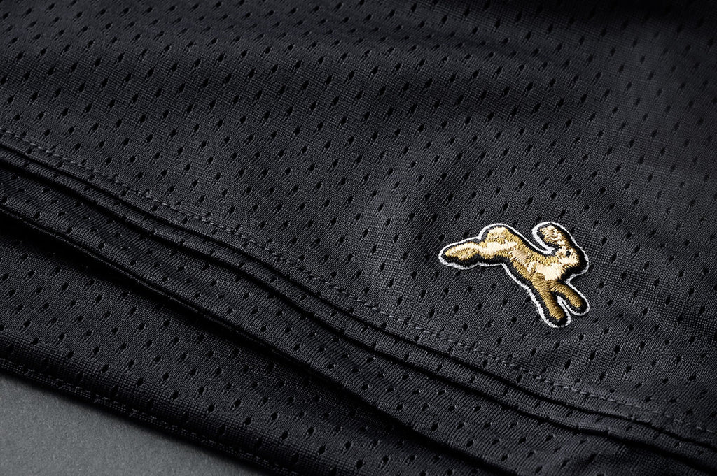 Fieldhouse Mesh Shorts
