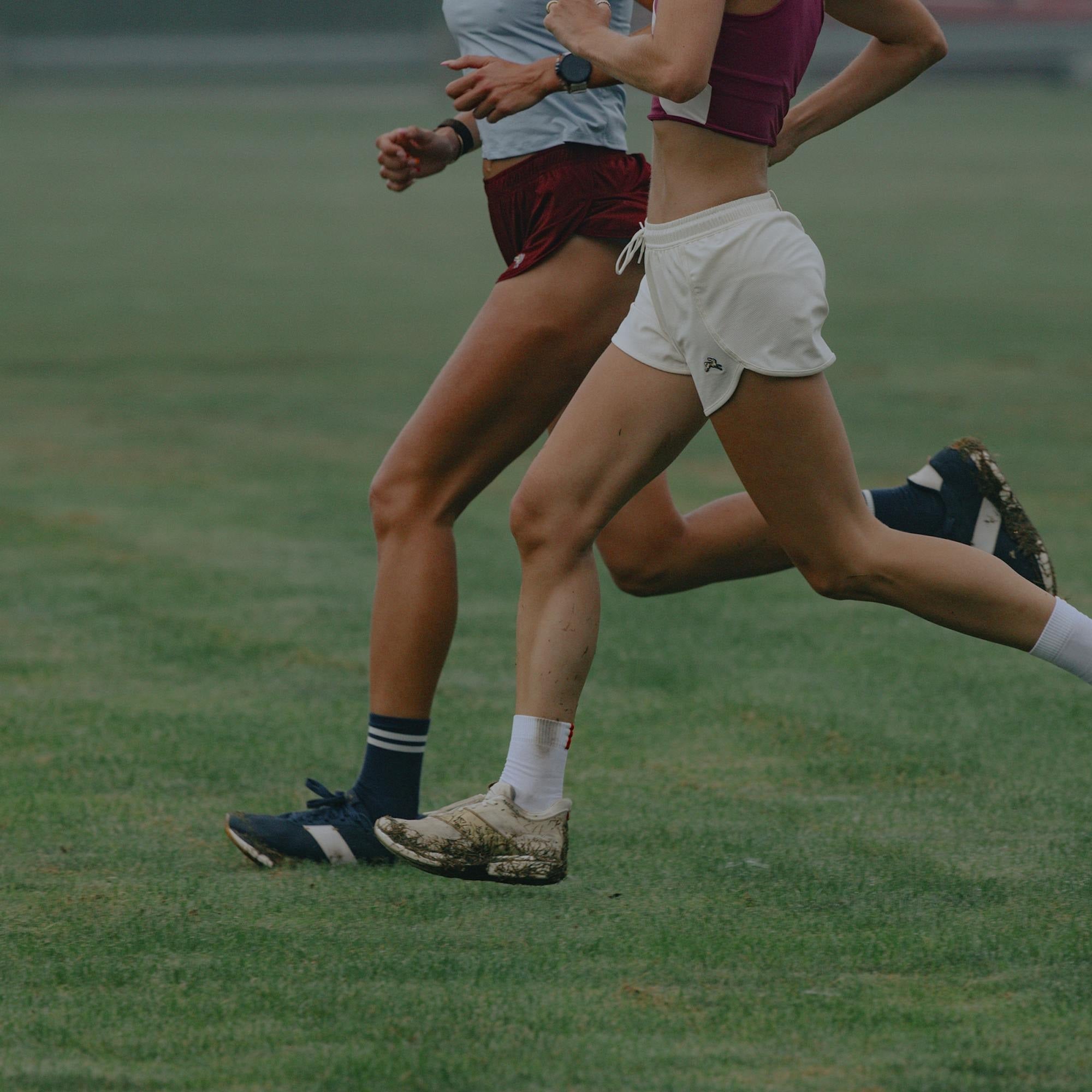 Bell Lap Top