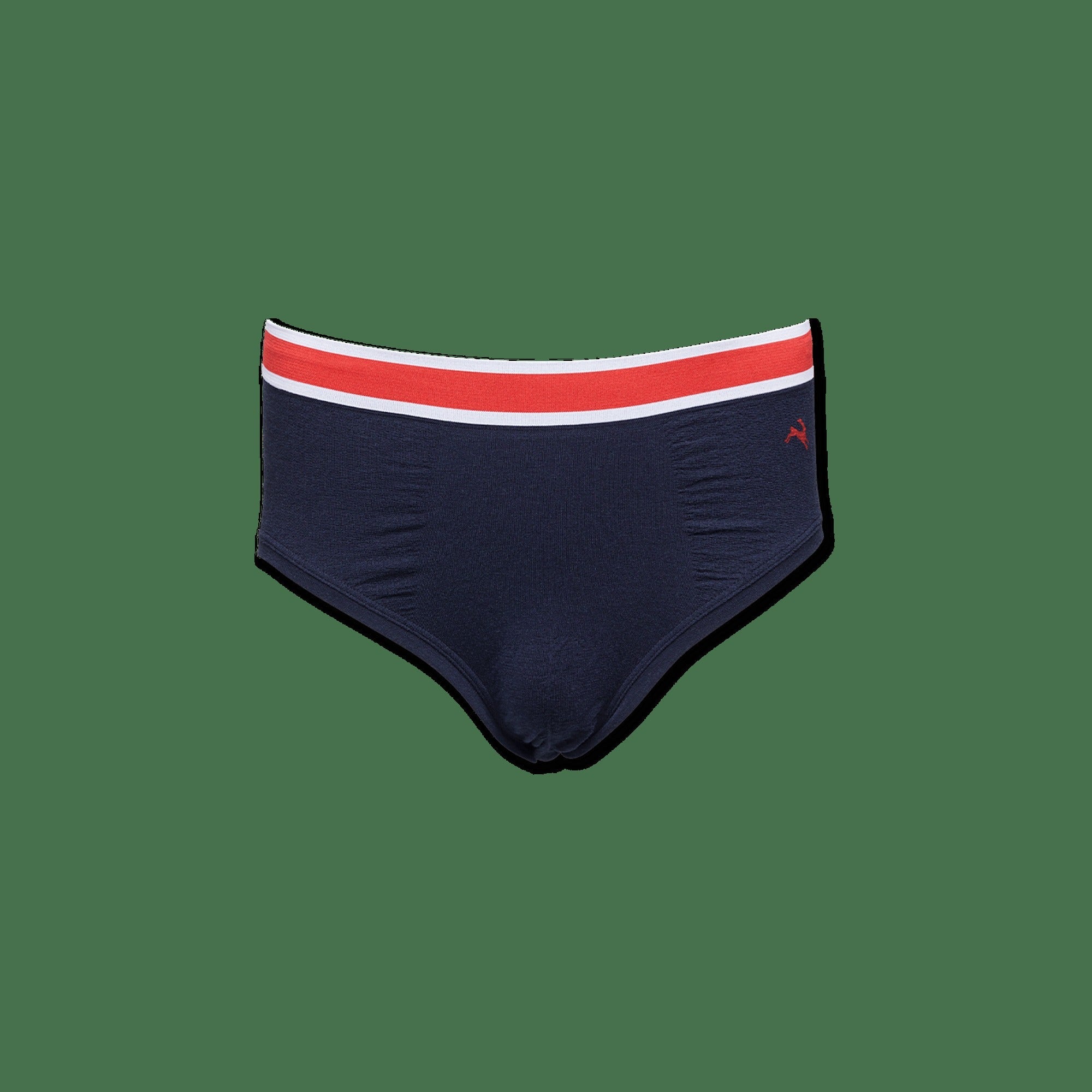 Brighton Briefs