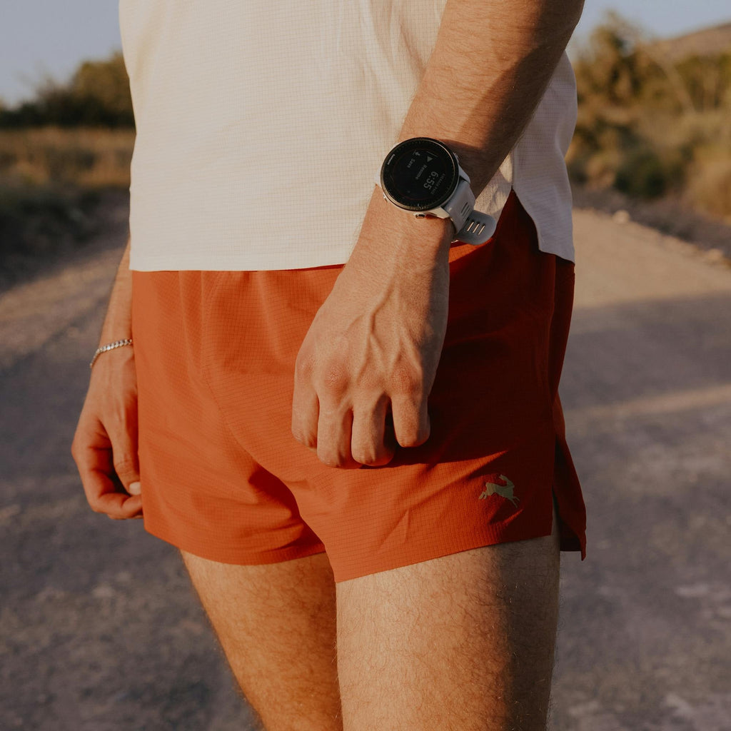 Meridian Shorts
