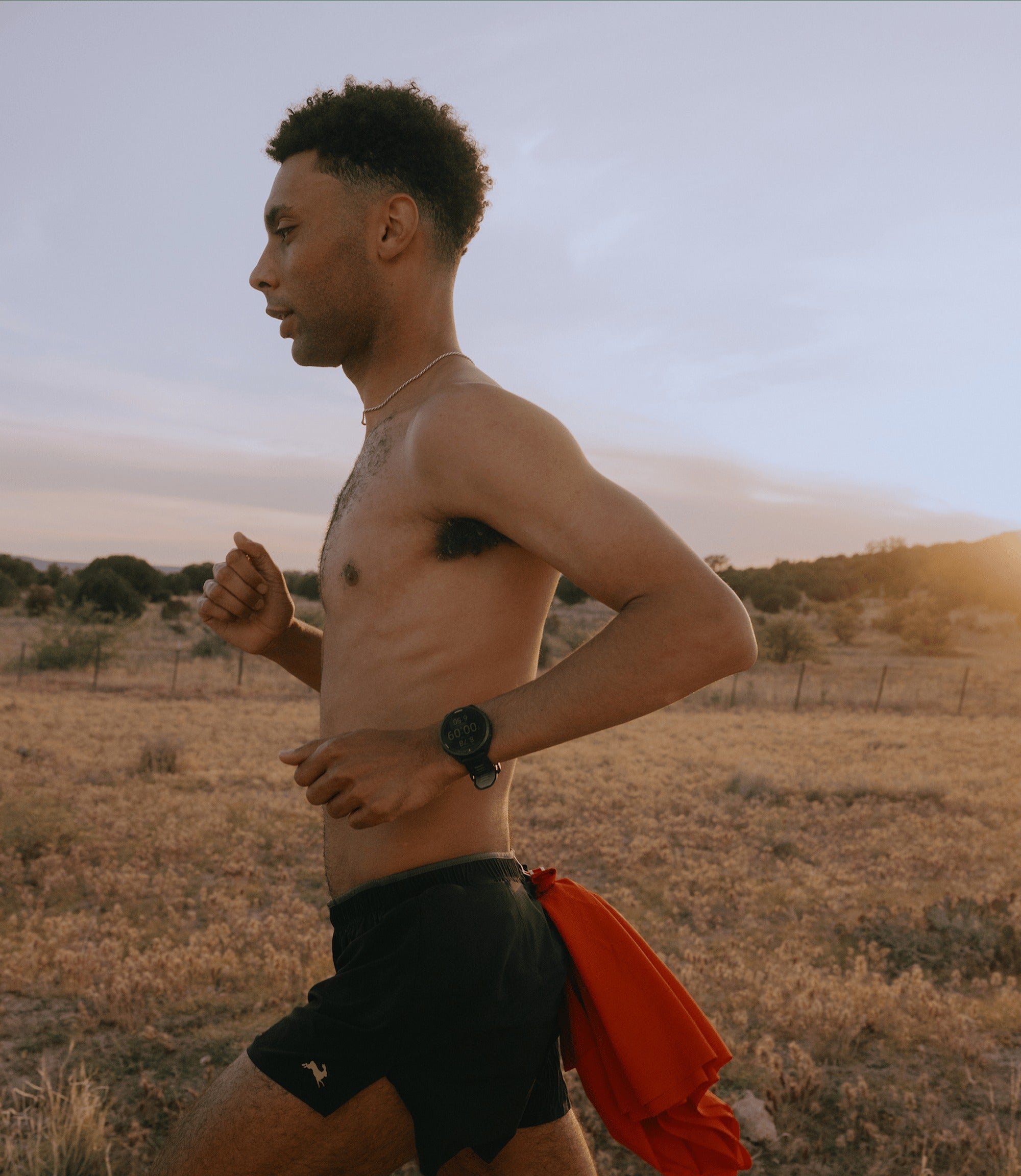 Meridian Shorts